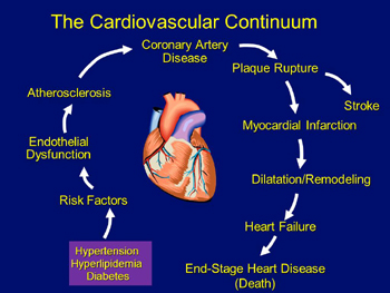 slide-continuum-of-cvd-diseases-350px-high